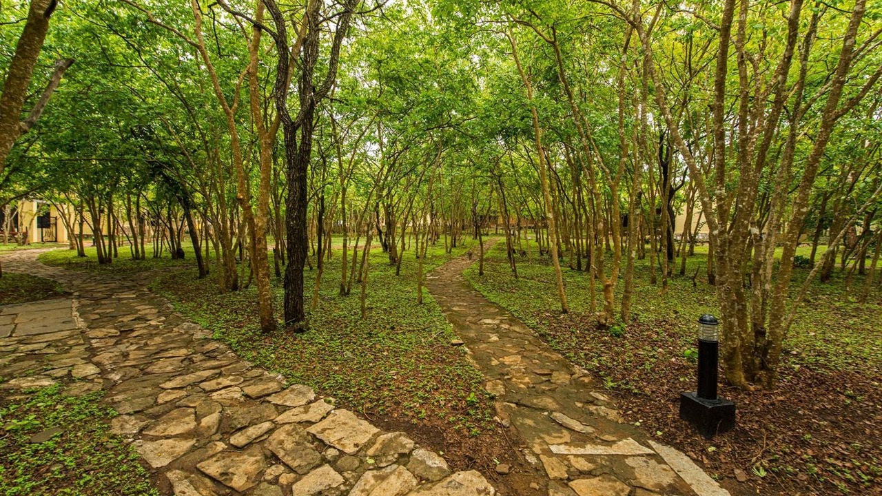 Photo of Outdoor in Bandipur