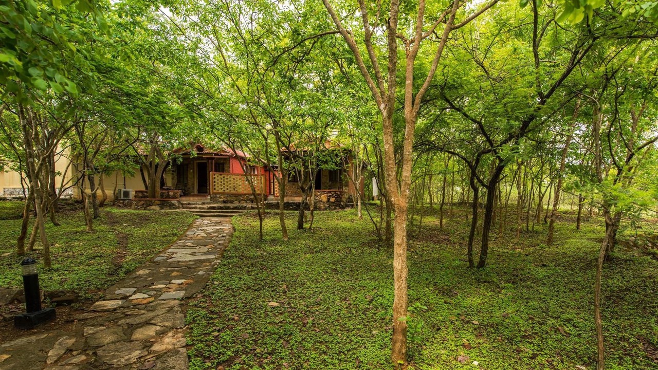 Photo of Outdoor in Bandipur