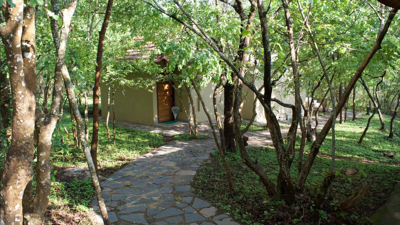Photo of Outdoor in Bandipur