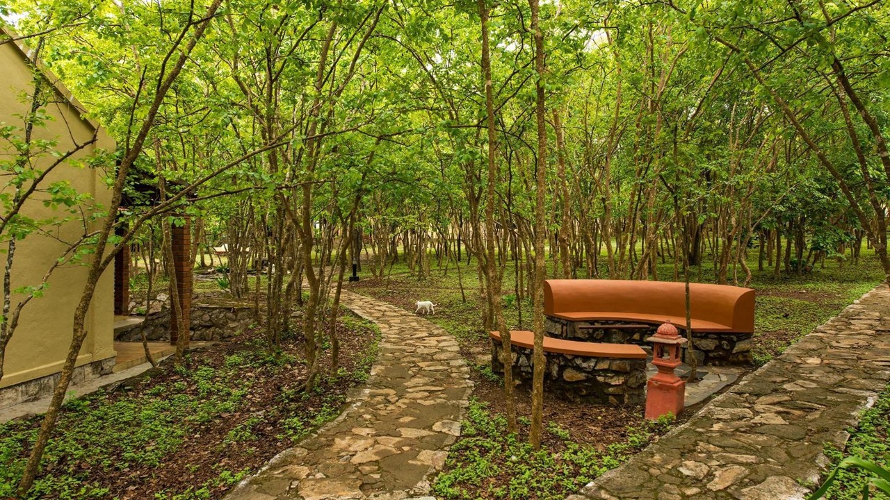 Photo of Outdoor in Bandipur