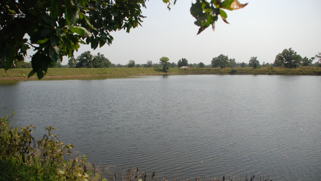 Photo of Outdoor in Kohka