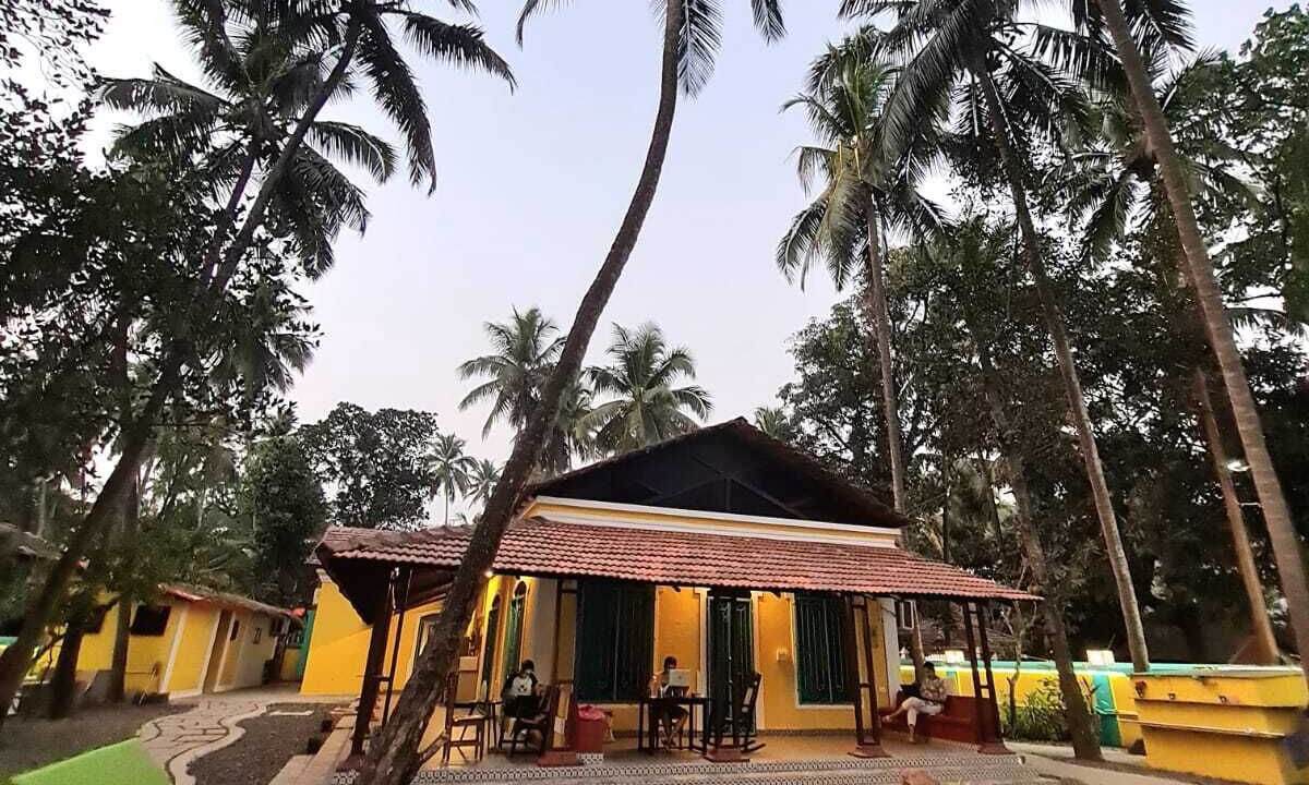 Photo of Outdoor in Vagator