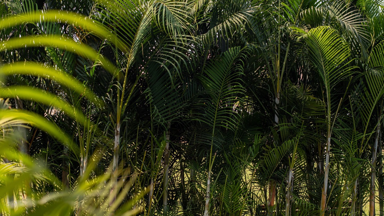 Photo of Outdoor in Karjat