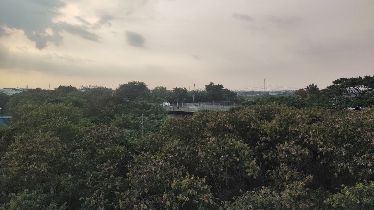 Photo of Outdoor in Tiruchirappalli
