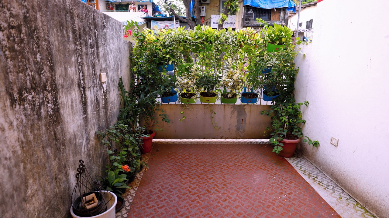 Photo of Outdoor in Santacruz