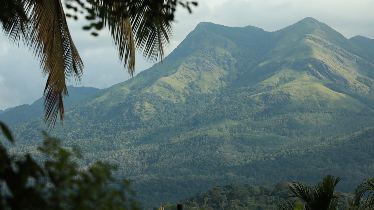 Photo of Others in Kalpetta