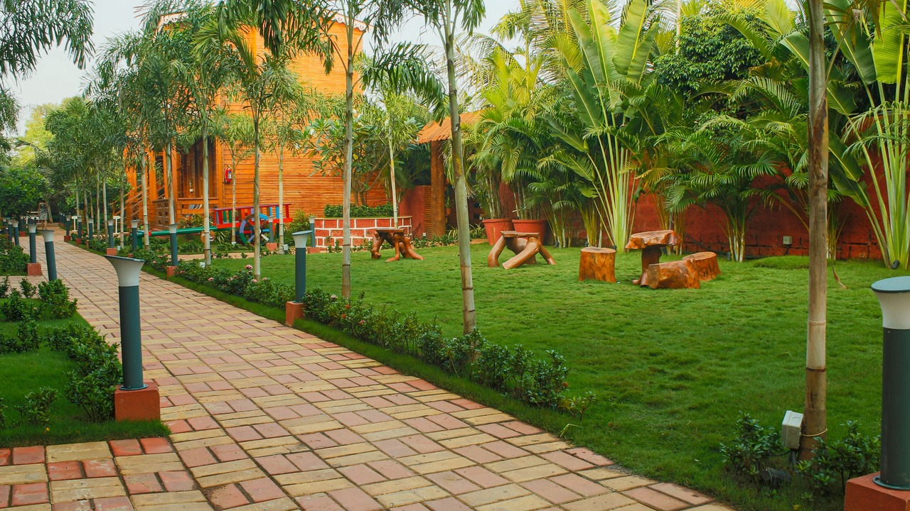 Photo of Outdoor in Arambol