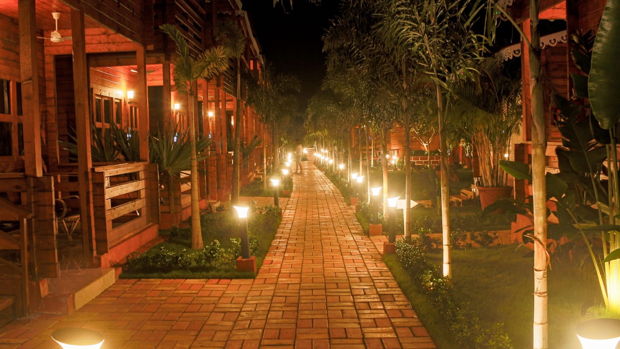 Photo of Outdoor in Arambol