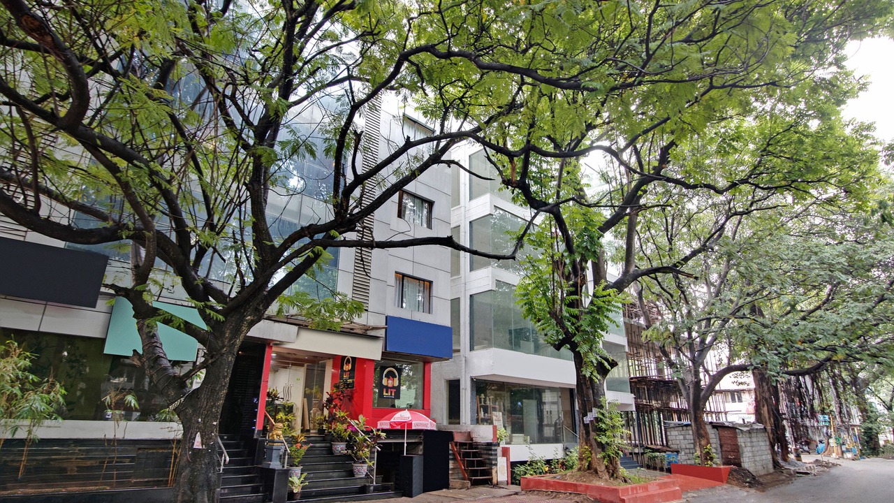 Photo of Outdoor in Jayanagar