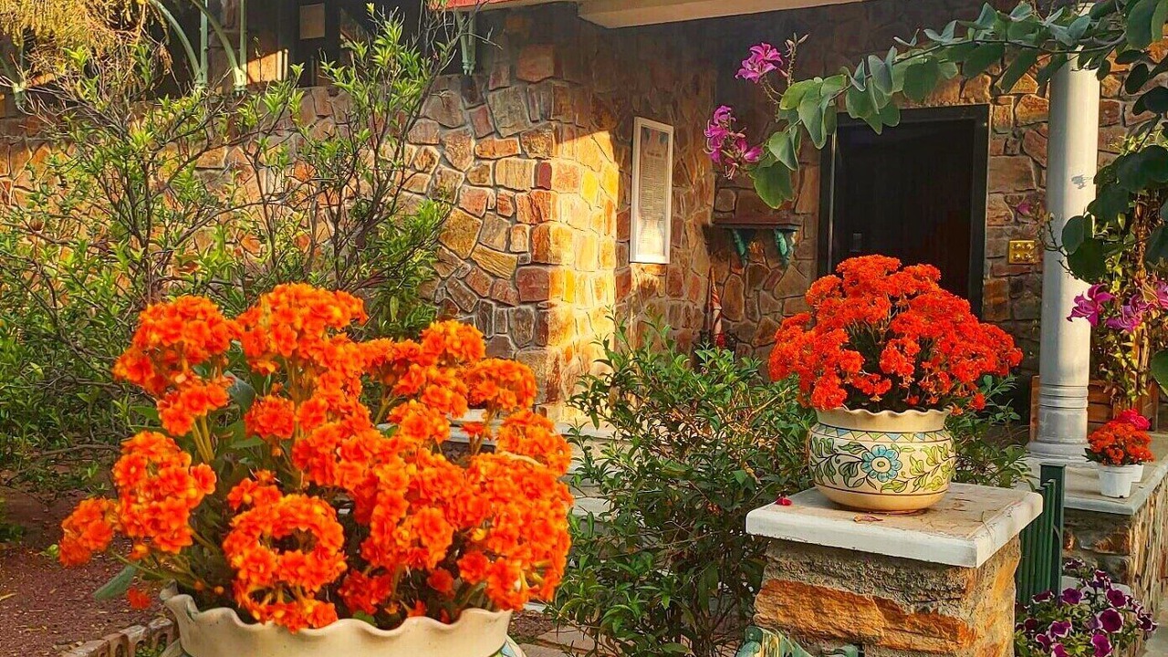 Photo of Outdoor in Bedla