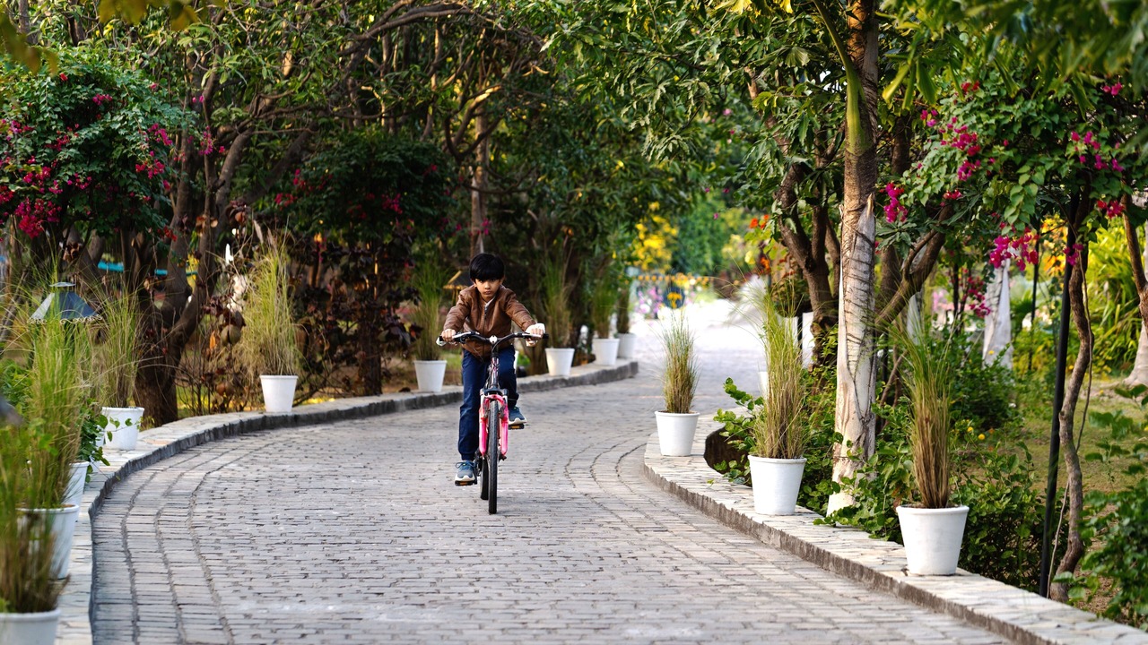 Photo of Outdoor in Bedla