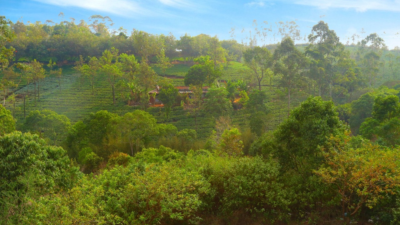 Photo of Outdoor in Elappara