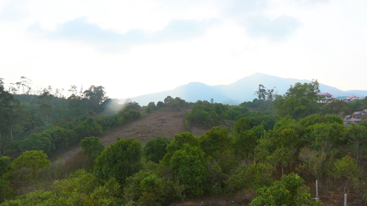 Photo of Outdoor in Elappara