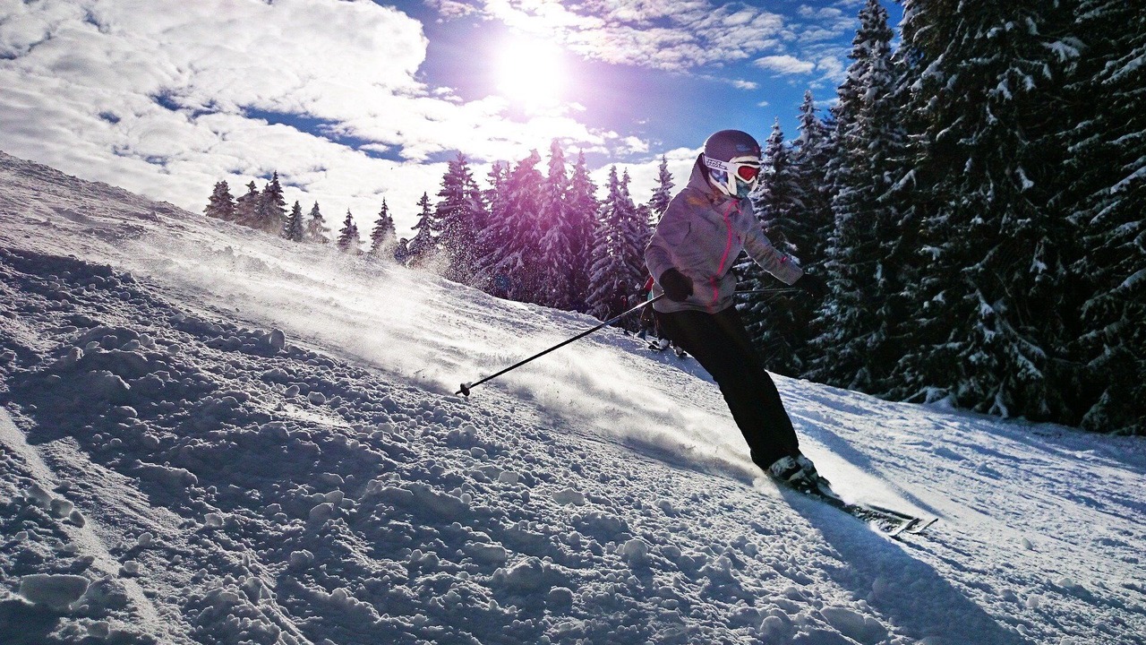 Photo of Others in Sinaia