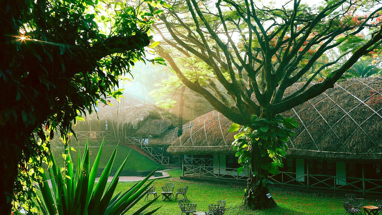 Photo of Outdoor in Kumily