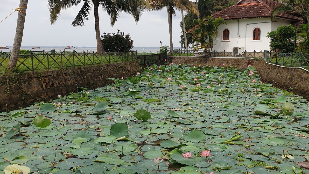 Photo of Outdoor in Kumarakom