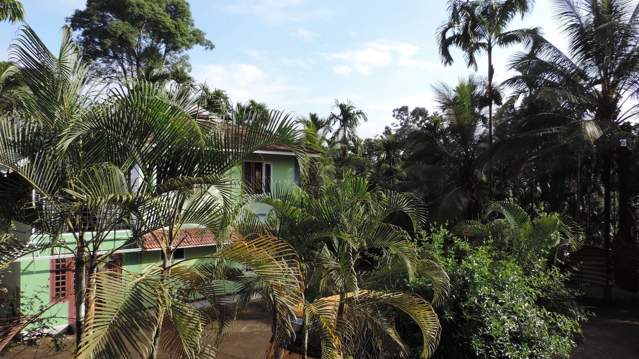 Photo of Outdoor in Kolagappara