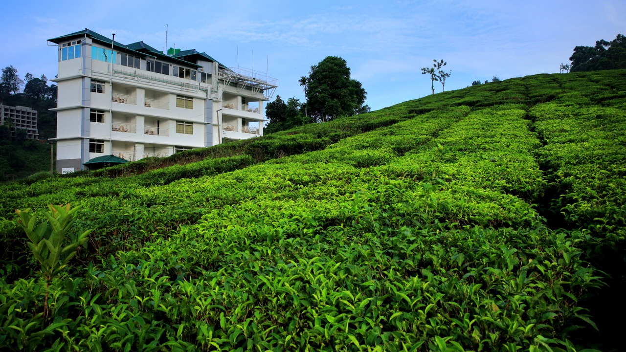 Photo of Outdoor in Chithirapuram