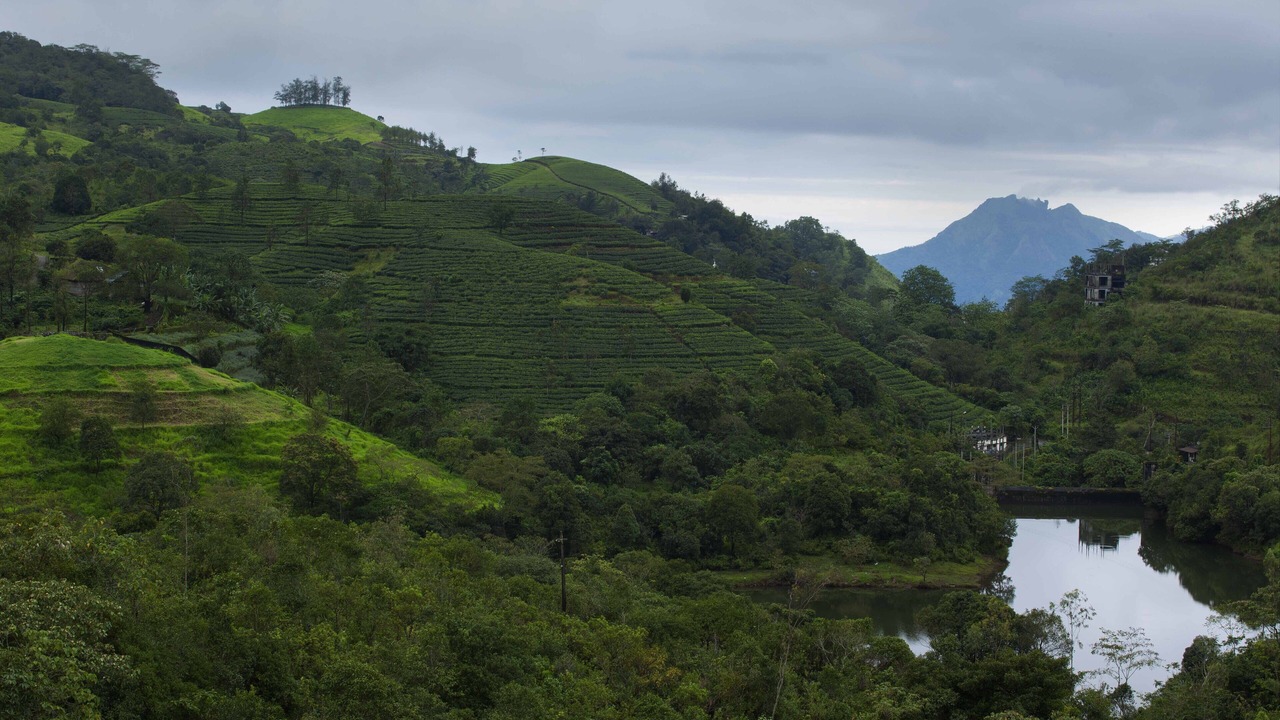 Photo of Outdoor in Vagamon