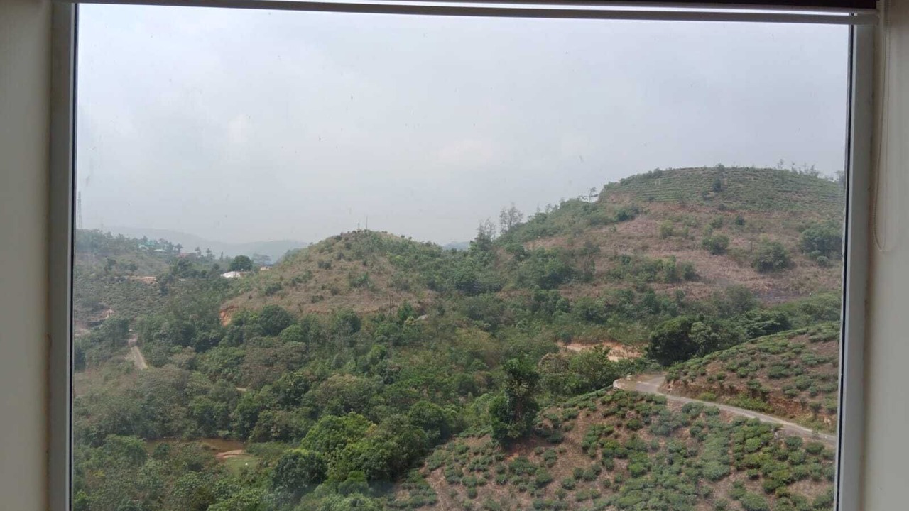 Photo of Bedroom in Vagamon