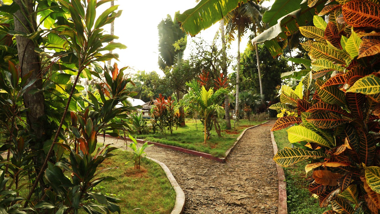 Photo of Outdoor in Poovar