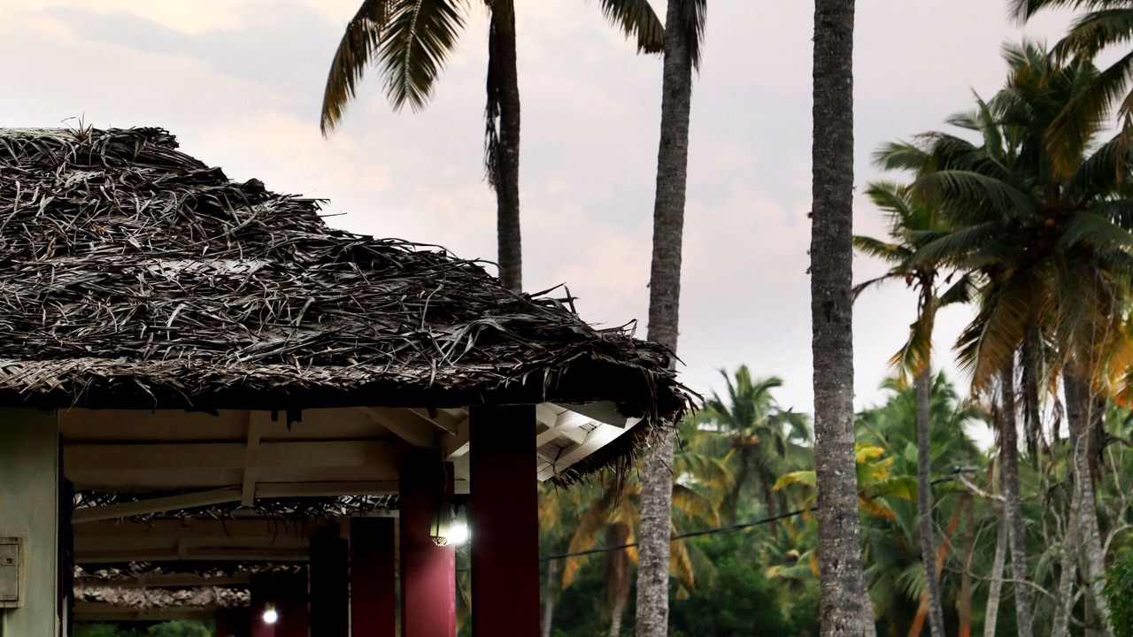 Photo of Outdoor in Poovar