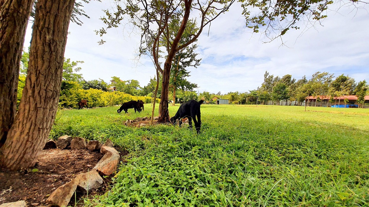 Photo of Outdoor in Masinagudi