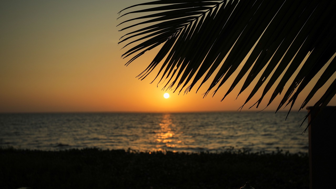 Photo of Outdoor in Kumarakom