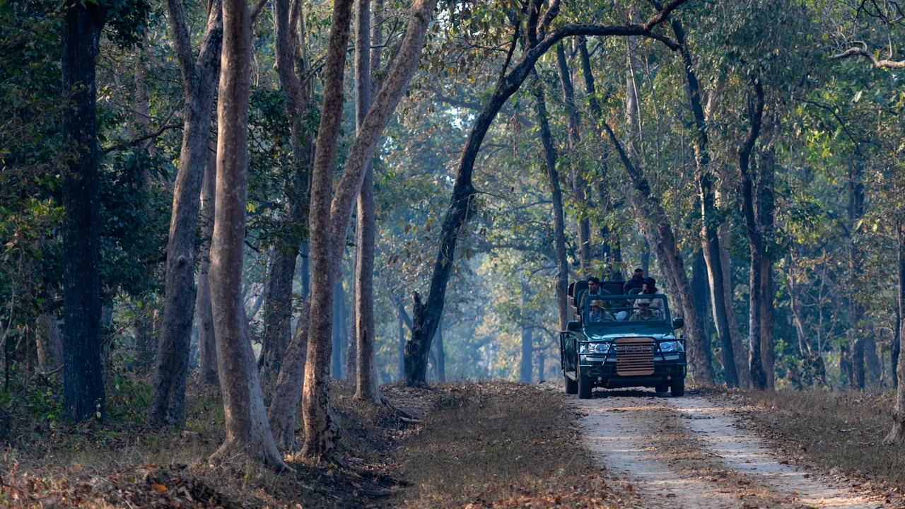 Photo of Outdoor in Mukki