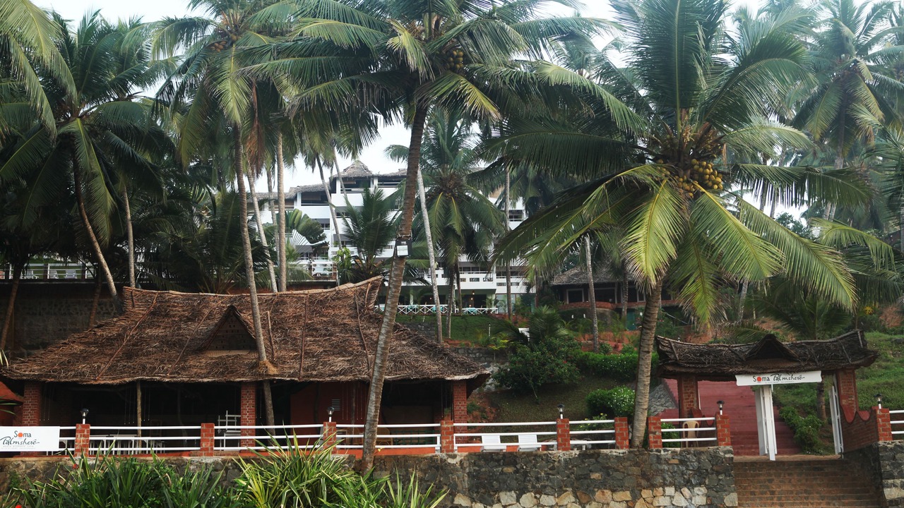 Photo of Others in Neyyattinkara