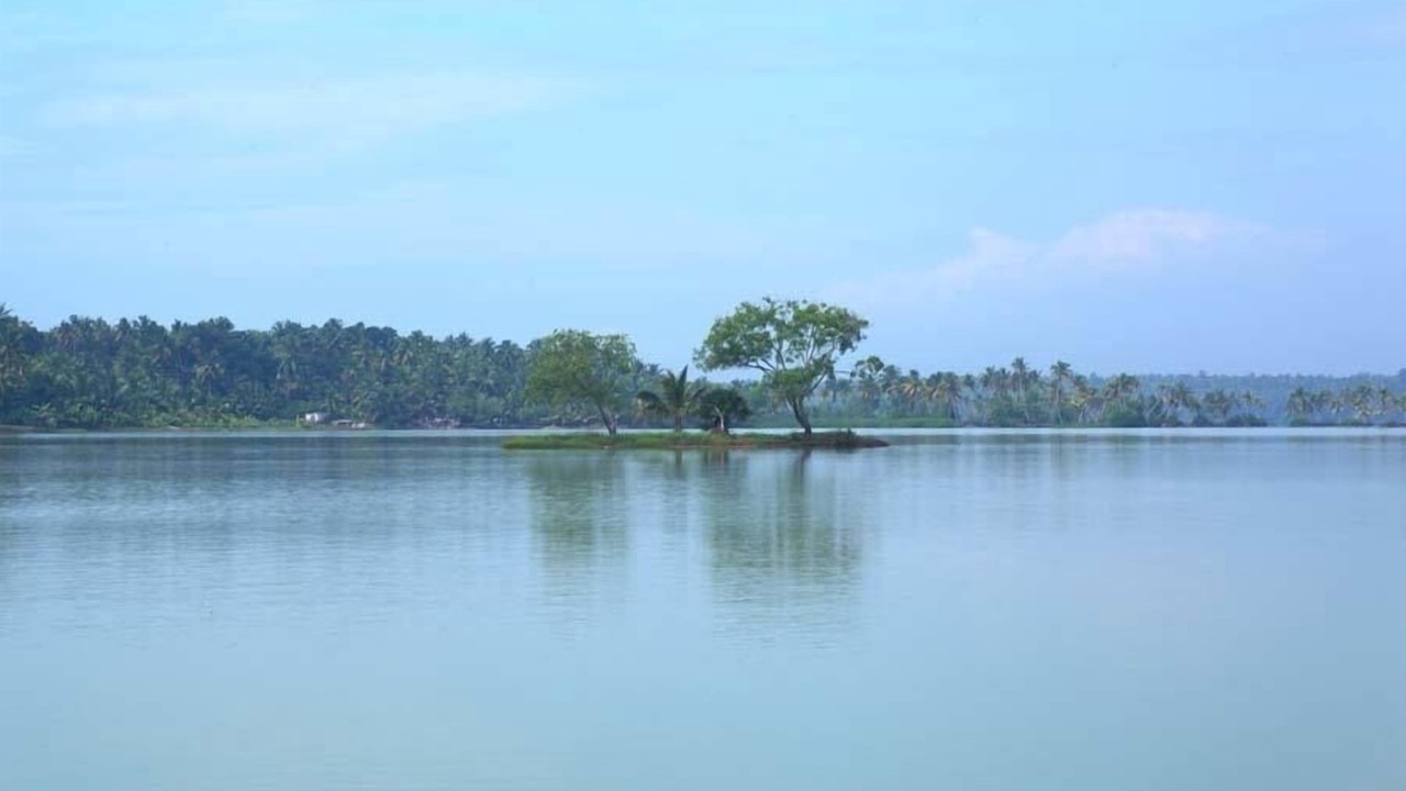 Photo of Others in Paravur