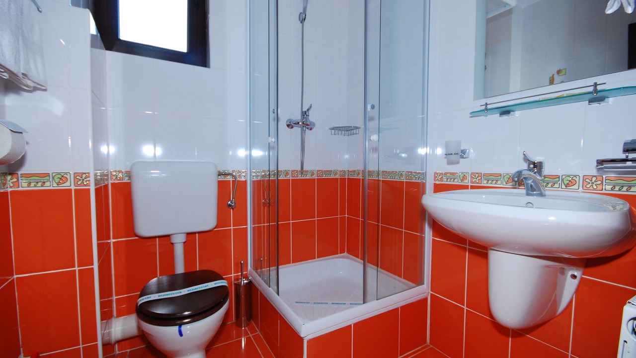 Photo of Bathroom in Predeal