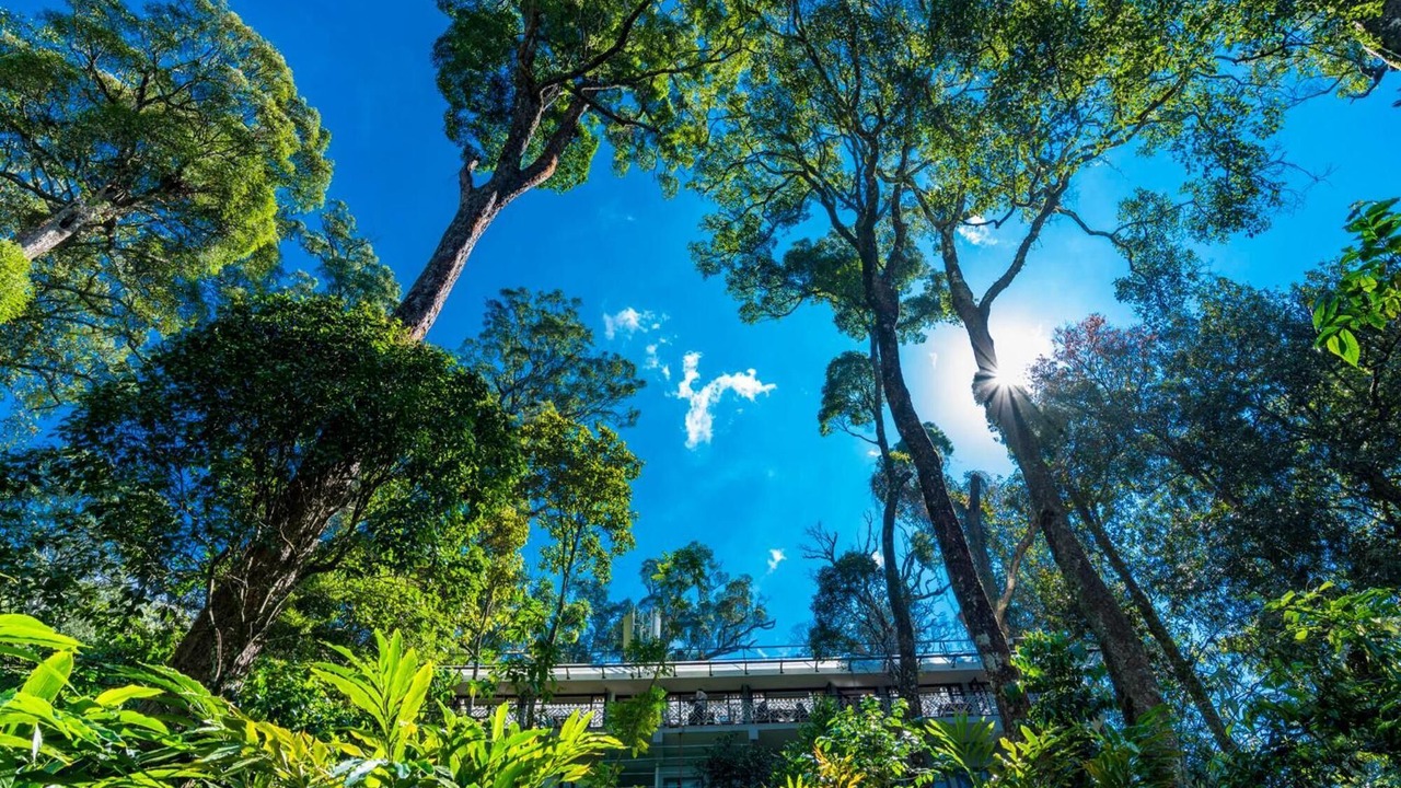 Photo of Outdoor in Munnar