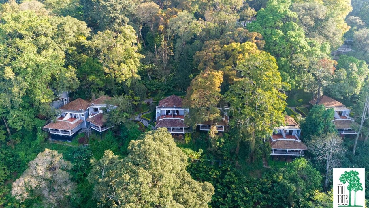 Photo of Outdoor in Munnar