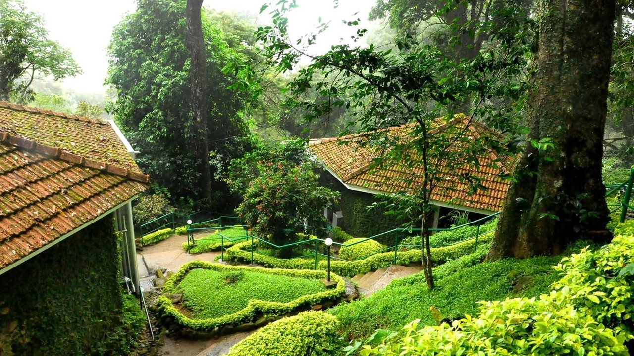 Photo of Outdoor in Munnar