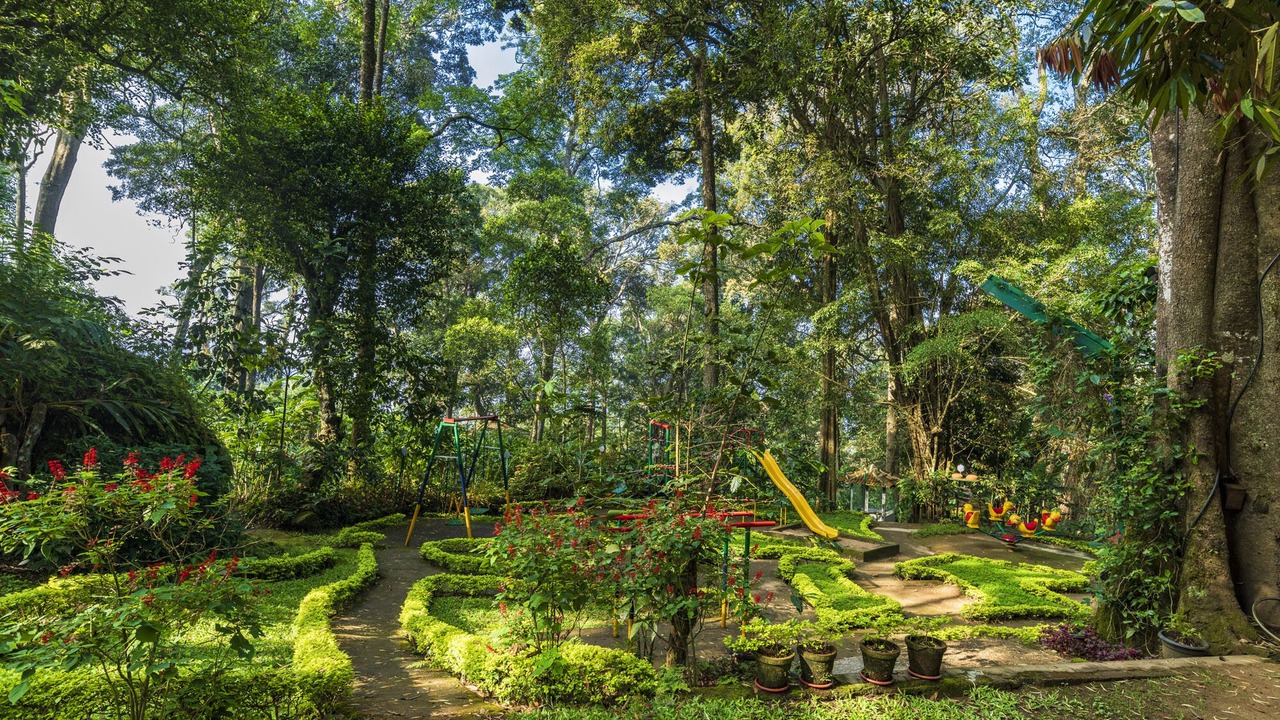 Photo of Outdoor in Munnar