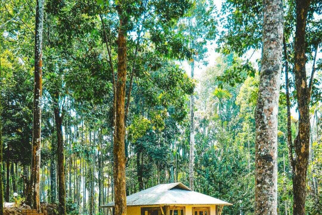 Photo of Outdoor in Kunnathidavaka
