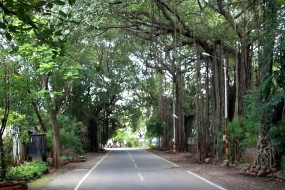 Photo of Others in Koregaon Park