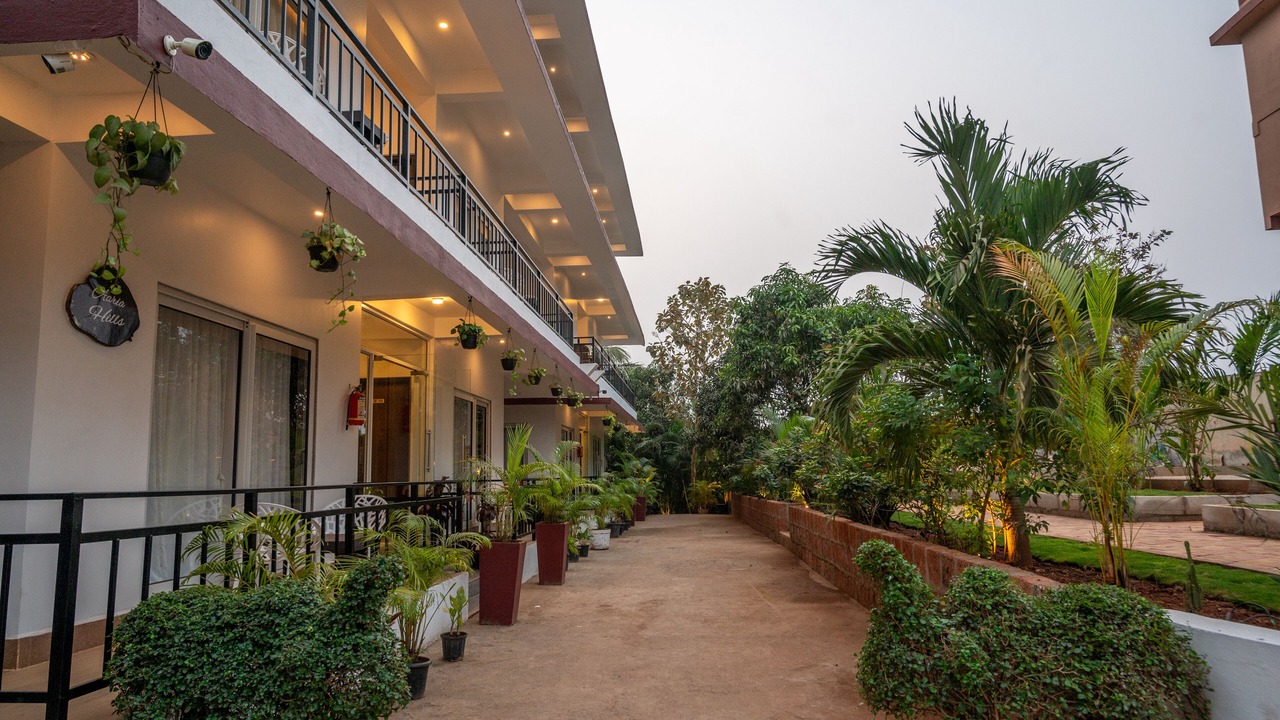 Photo of Outdoor in Arambol