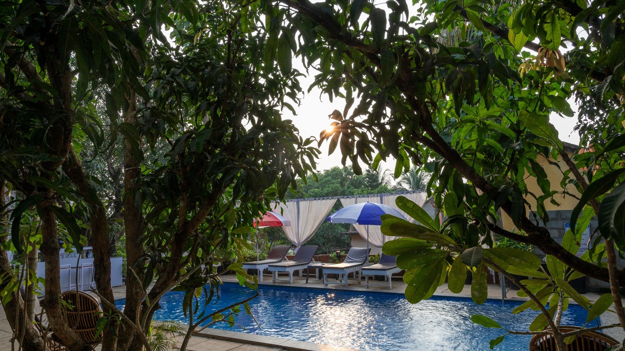 Photo of Outdoor in Arambol