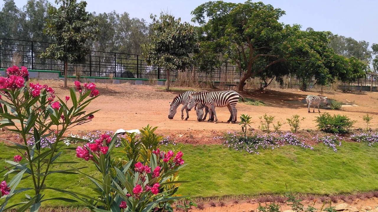 Photo of Others in Krishnarajapura