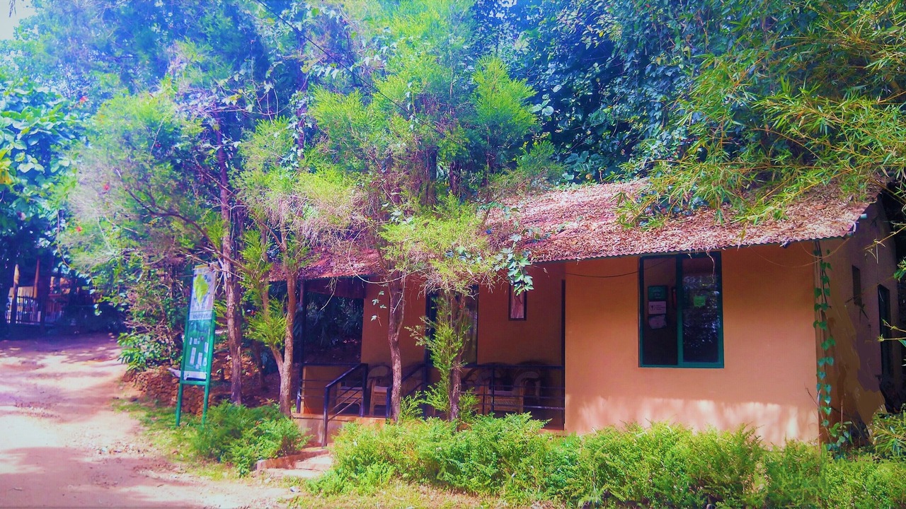 Photo of Others in Vythiri