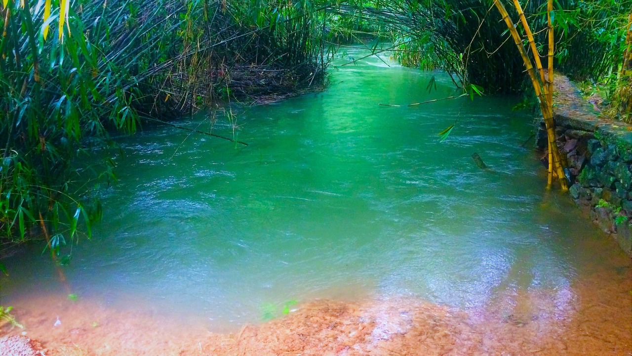 Photo of Outdoor in Vythiri