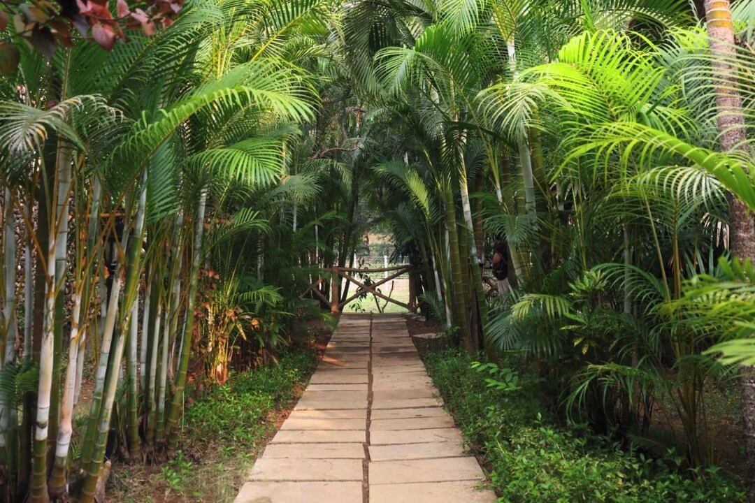 Photo of Outdoor in Kulem