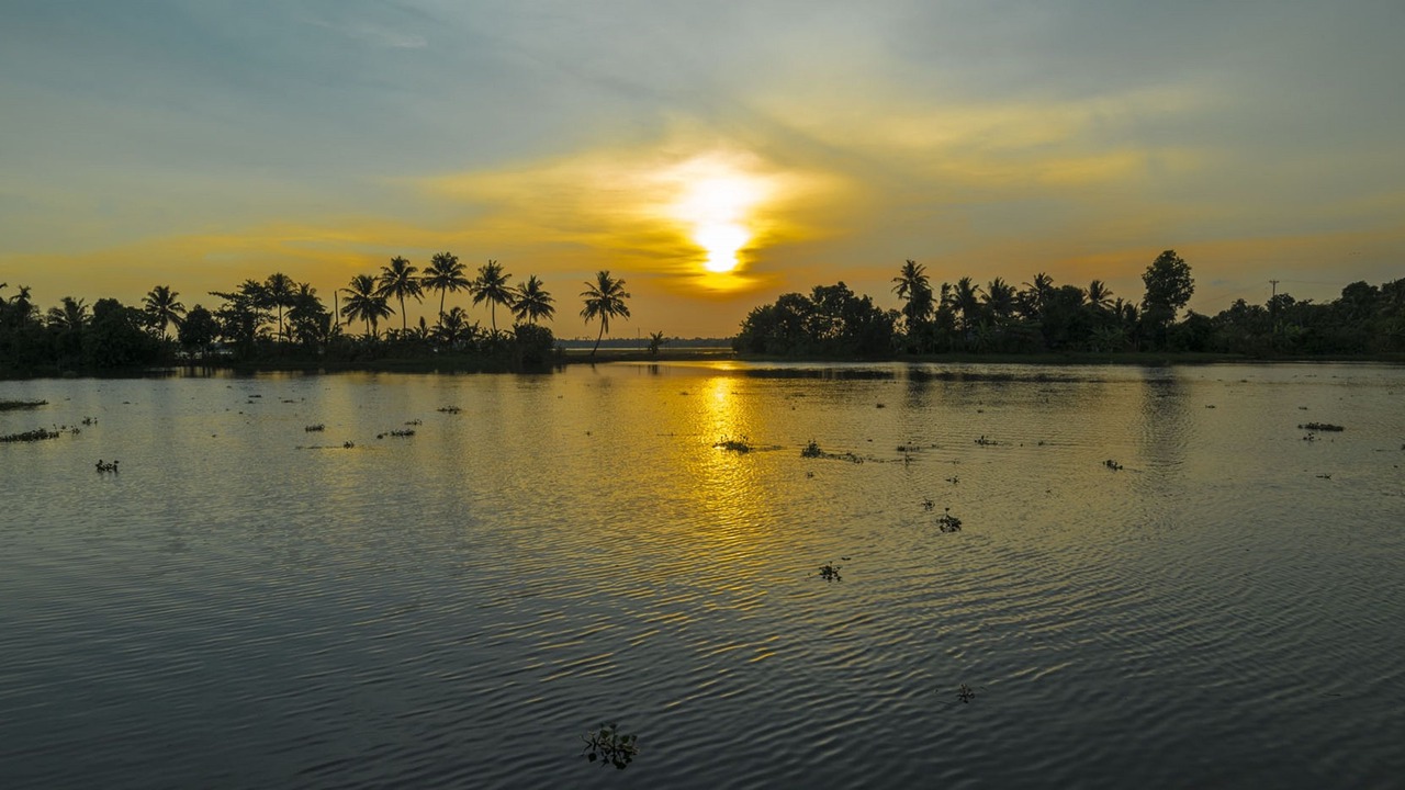 Photo of Others in Nedumudy