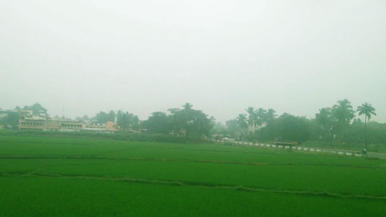 Photo of Others in Uttamapalaiyam