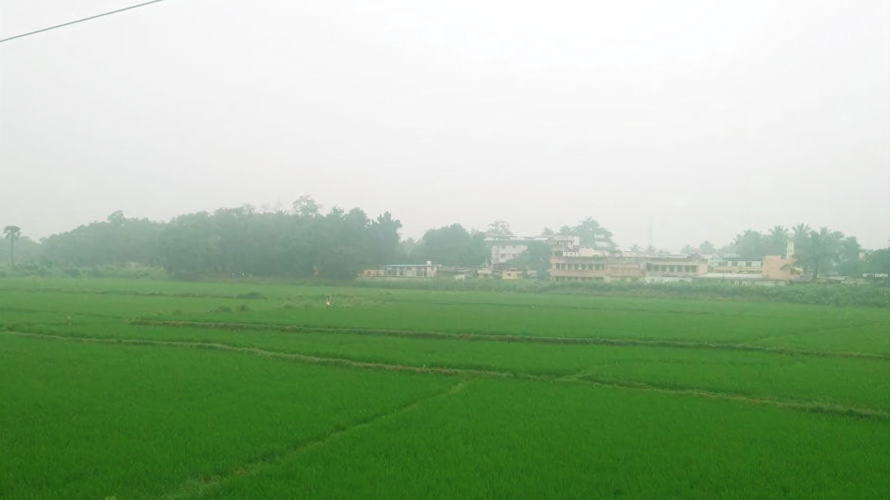 Photo of Others in Uttamapalaiyam