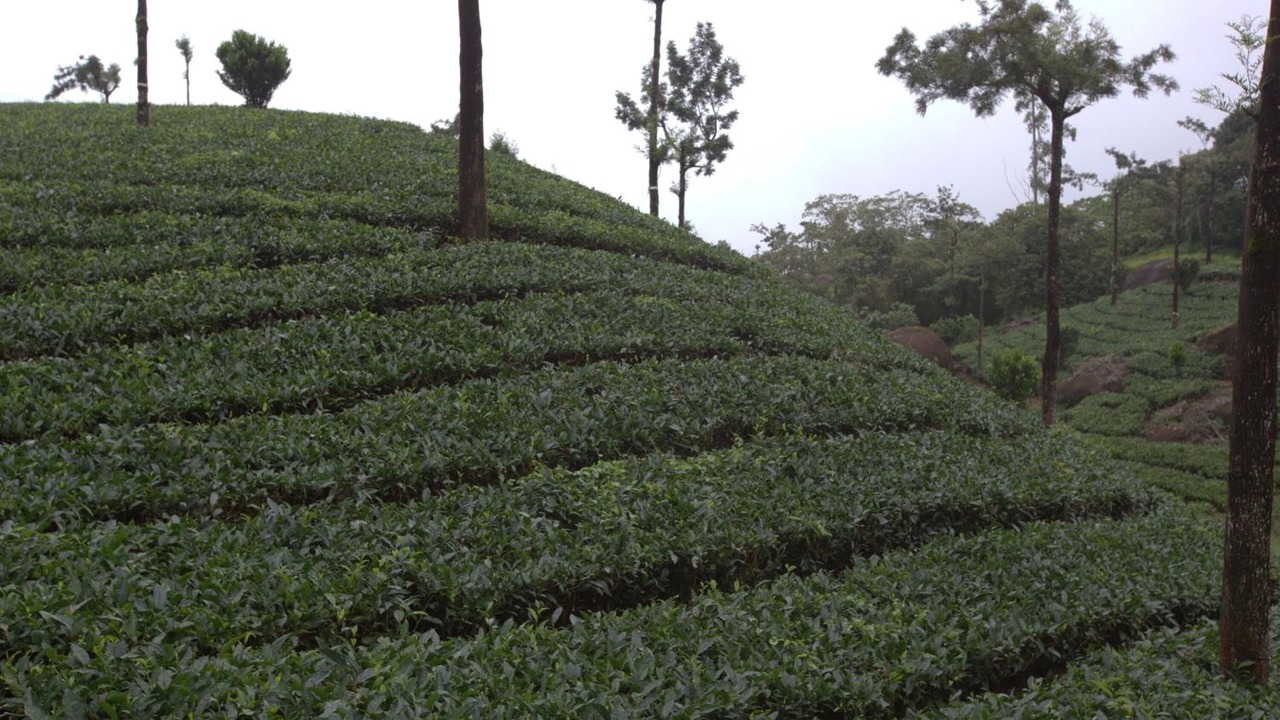 Photo of Outdoor in Moolakadai