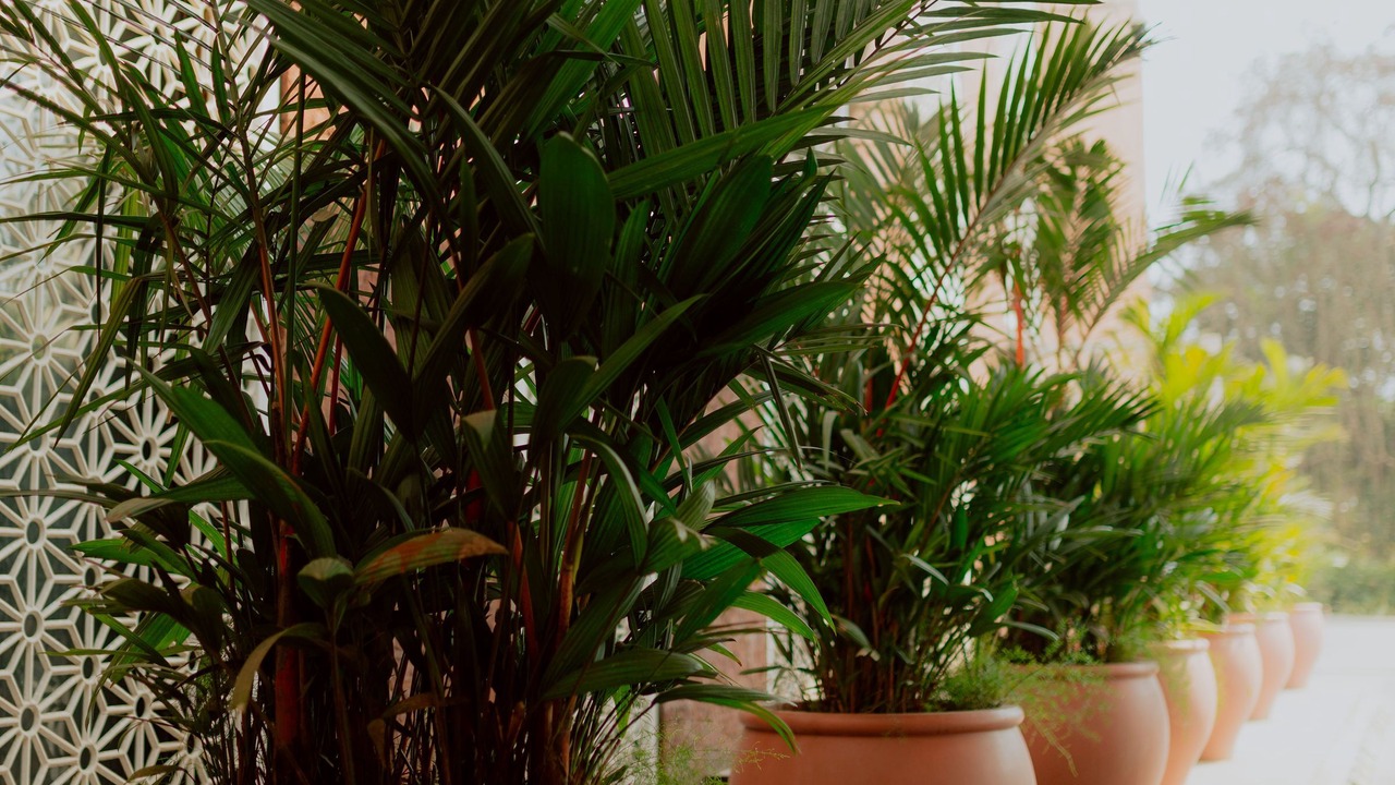 Photo of Outdoor in Chimbel