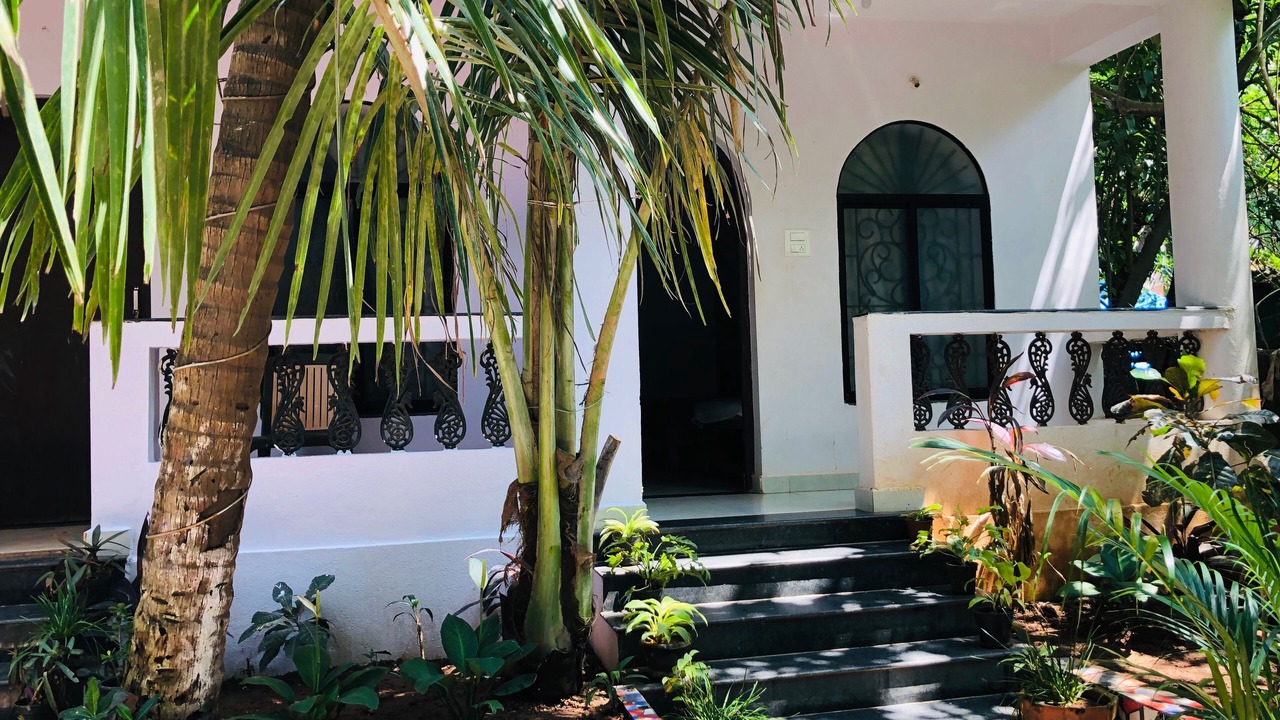 Photo of Outdoor in Arambol